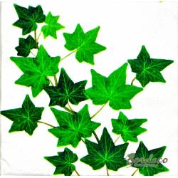 B+C seria VIVA Niemcy